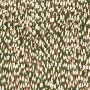Product weergave van het Elitis cartagena-nuee-rm-1148-60 behang in groen