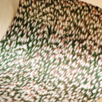 Detail weergave van het Elitis cartagena-nuee-rm-1148-60 behang in groen