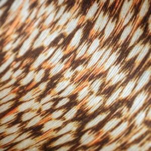 Product detail van het Elitis cartagena-nuee-rm-1148-70 behang in oranje
