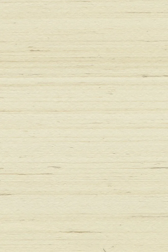 Arte Mysuru Mandya behang in wit, kleur Off-White (35412)