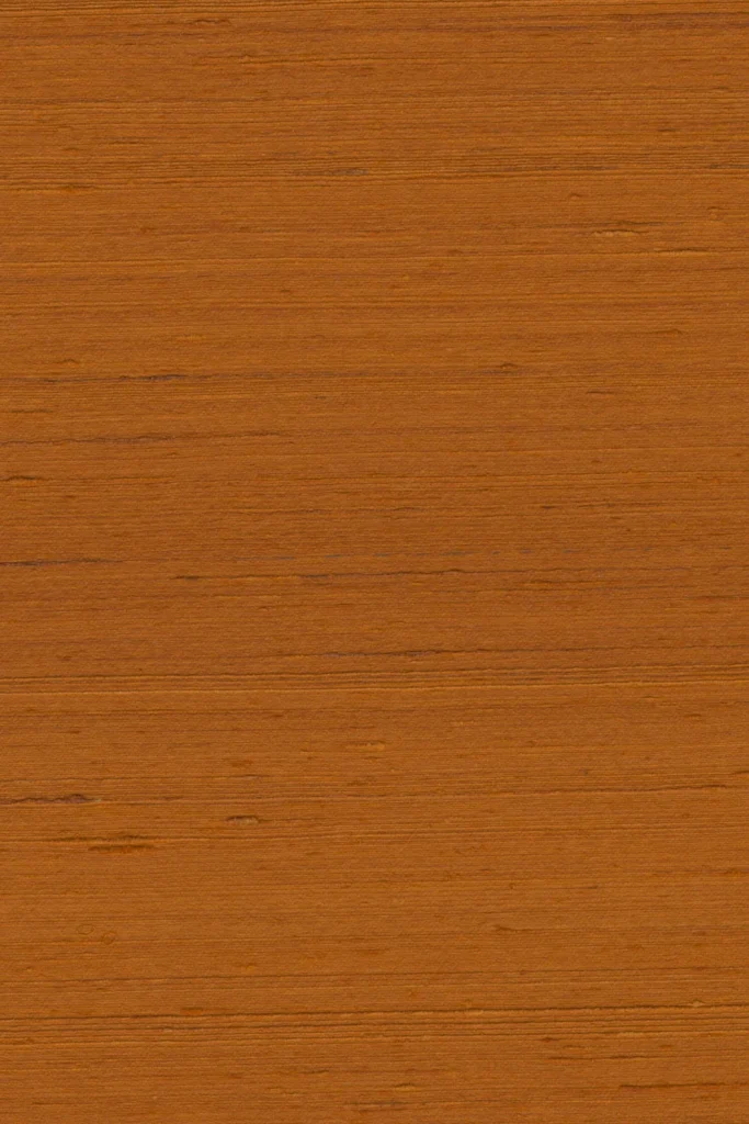 Arte Mysuru Mandya behang in oranje, kleur Spice (35422)